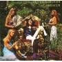 Peter Bardens - Cherry Red Records The Answer 