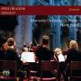 R�my Ballot / Altomonte Orchester St.Florian - Sinfonie IV