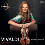 Rachel Podger / Arte Dei Suonatori / Holland Baroque / - Concertos