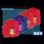 B. E. V. (BonificaEmilianaVeneta) "Variabile/Naturale" B. E. V. (BonificaEmilianaVeneta) "Variabile/Naturale"