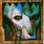 Paradise Lost - Shades Of God