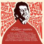 Various / Bobby Marin - We've Got A Groovy Thing Going - The Lation Soul O