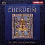 PaTRAM Institute Male Choir - More Honourable than the Cherubim-Russisch-Orth.