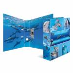 Herma - HERMA 7167 Carton Multicolour folder