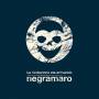 Negramaro - Warner Music Negramaro - La rivoluzione sta arrivando, CD Pop